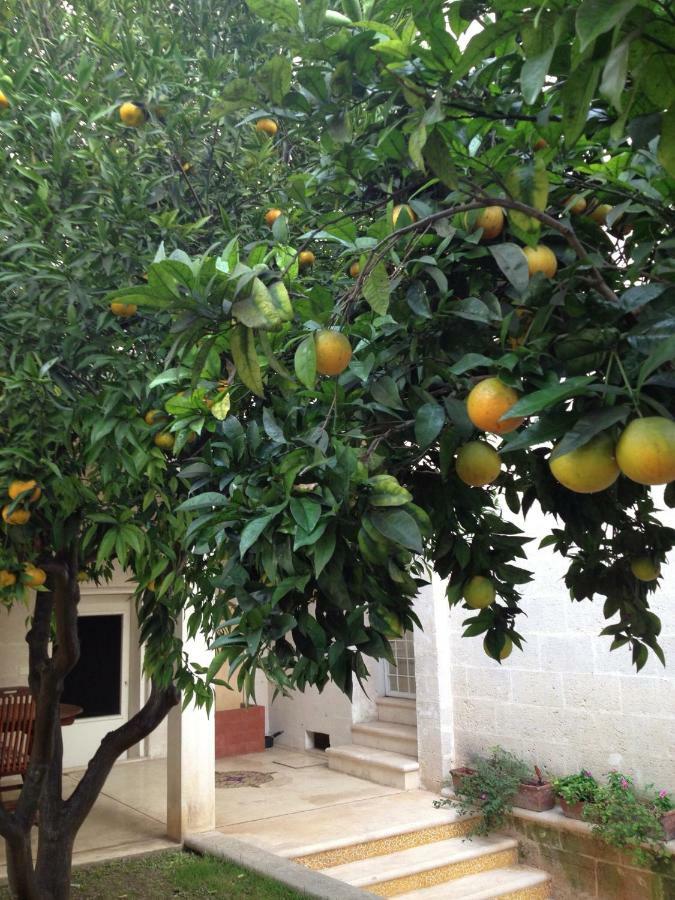 مبيت وإفطار غروتاليي Casa Marilla المظهر الخارجي الصورة